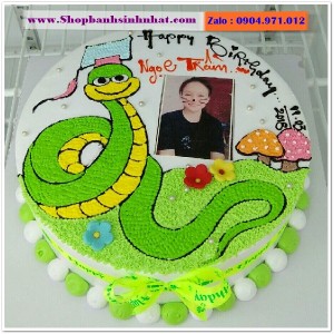 Bánh Sinh Nhật Con Rắn Tuổi Tỵ - R34